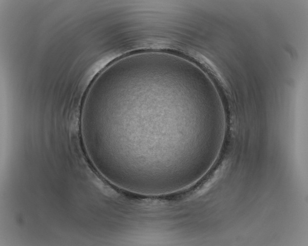 X0000115801081200911131354