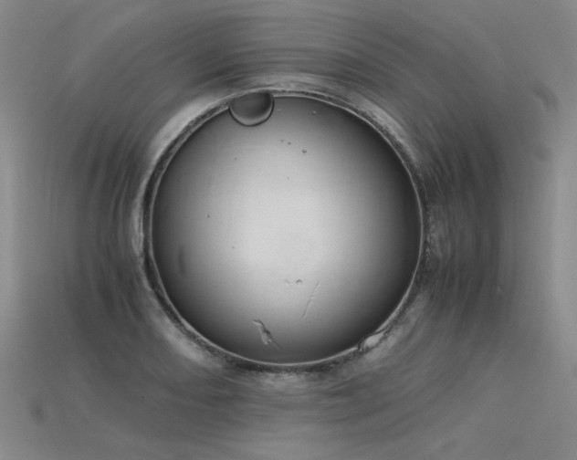 X0000115801082200911131354