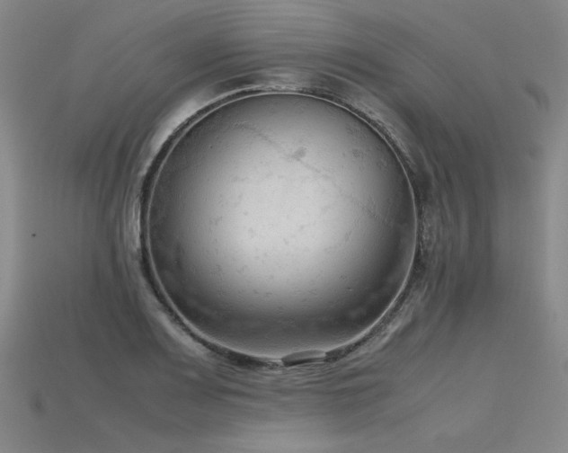 X0000115801083200911131354