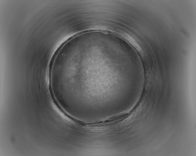 X0000115801084200911131354