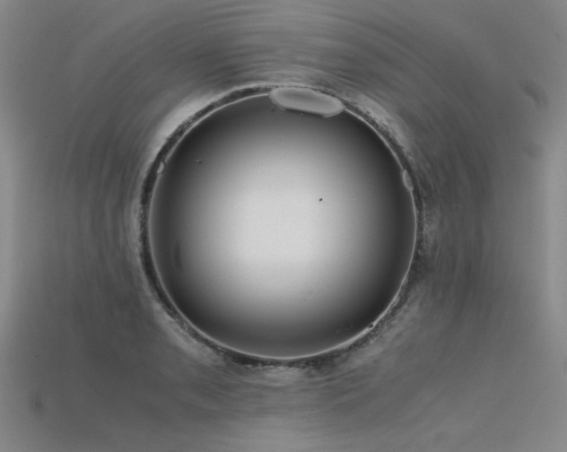X0000115801085200911131354