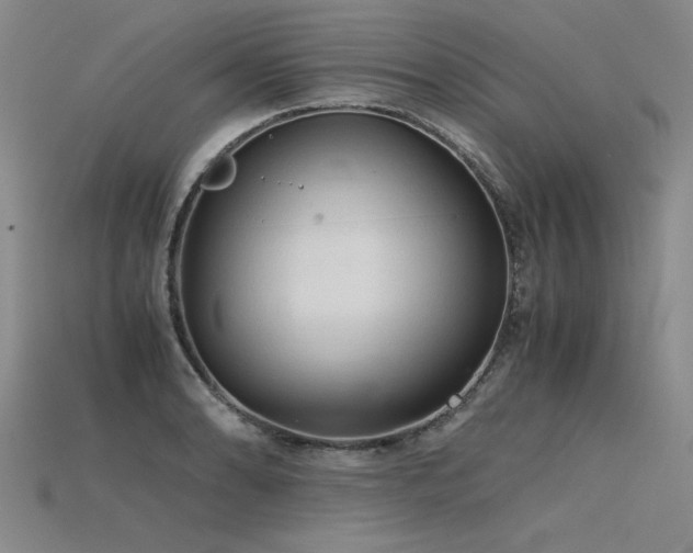 X0000115801086200911131354