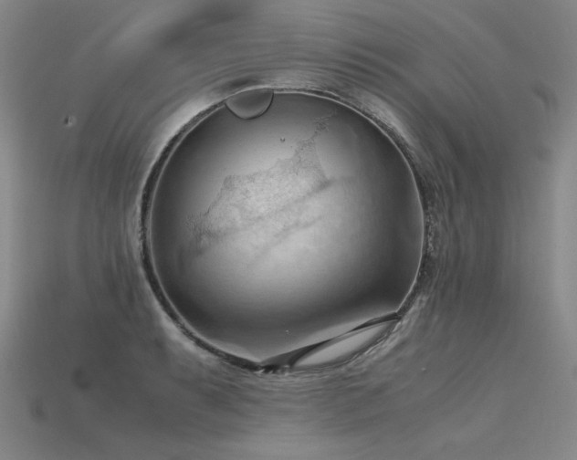 X0000115801087200911131354