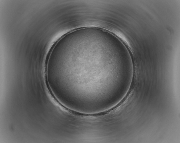 X0000115801088200911131354