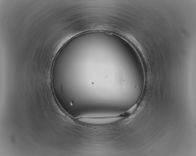 X0000115801089200911131354