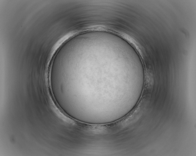 X0000115801090200911131354