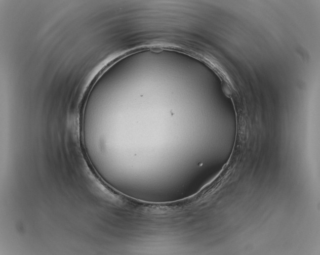 X0000115801092200911131354