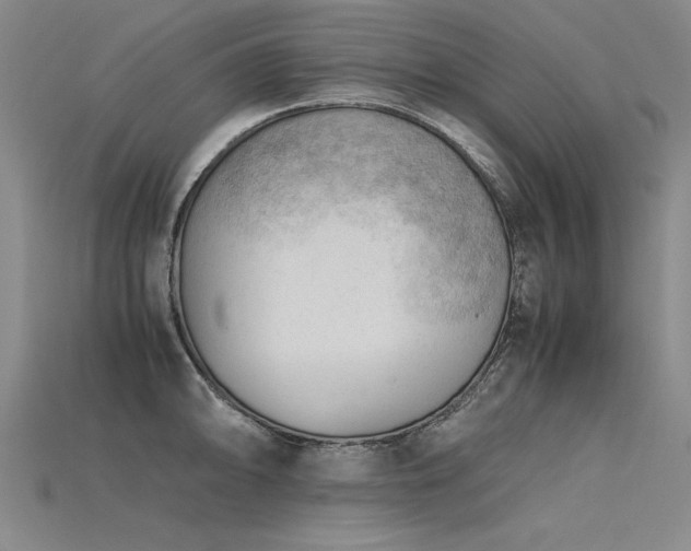 X0000115801094200911131354