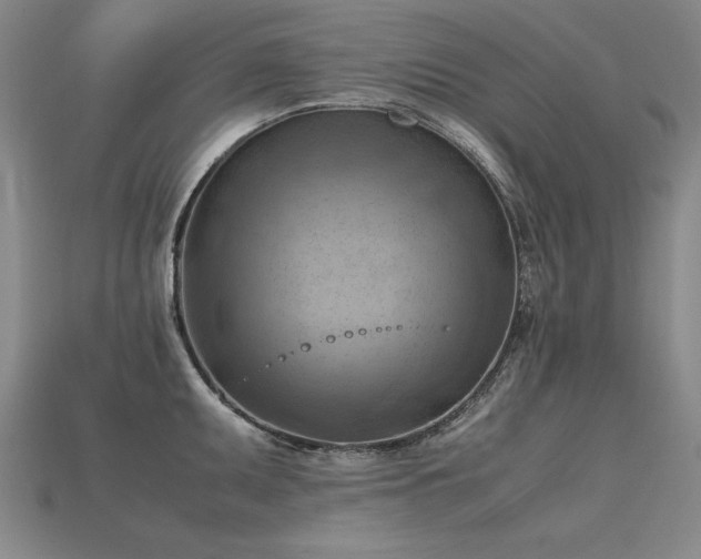 X0000115801095200911131354