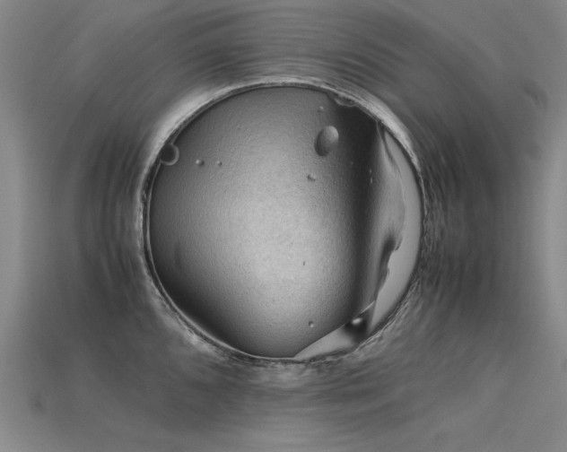 X0000115801096200911131354