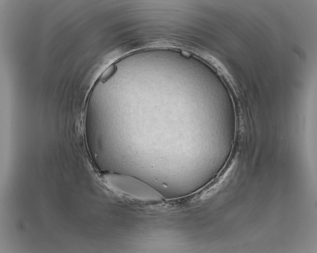 X0000115801097200911131354