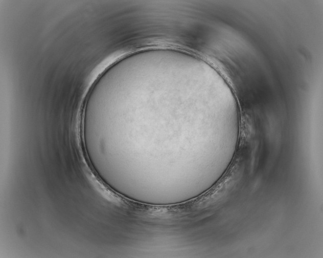 X0000115801098200911131354