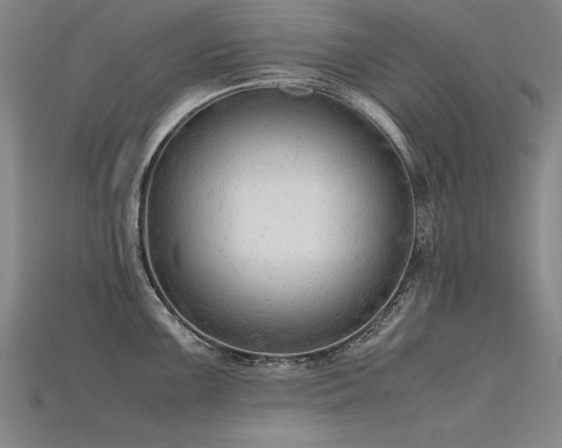 X0000115801099200911131354