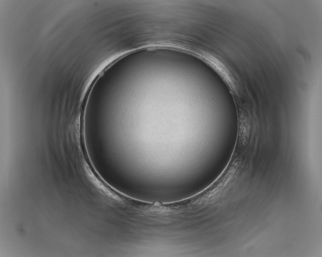 X0000115801100200911131354