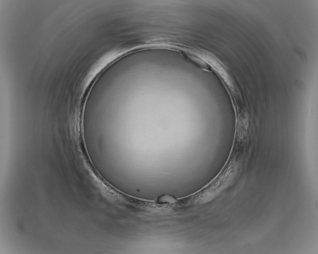 X0000115801101200911131354