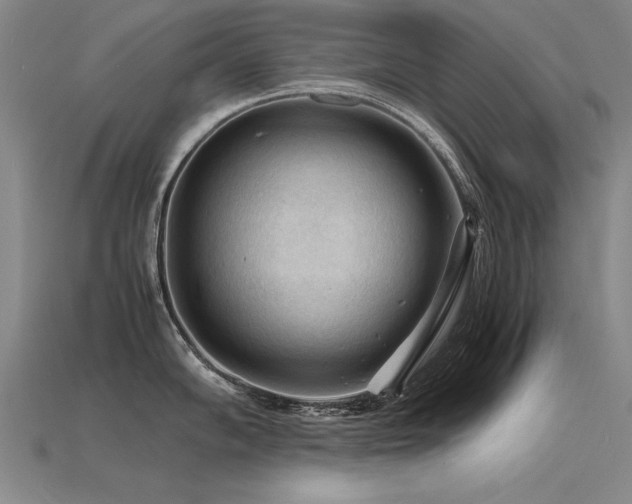 X0000115801102200911131354