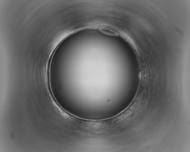 X0000115801103200911131354