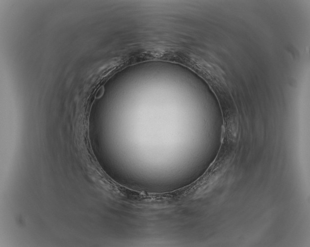 X0000115801105200911131353