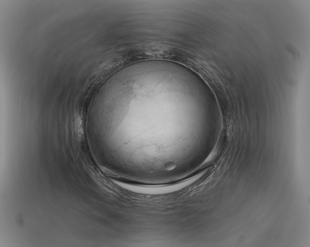 X0000115801106200911131353