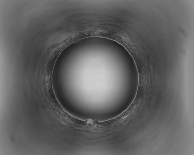 X0000115801109200911131353