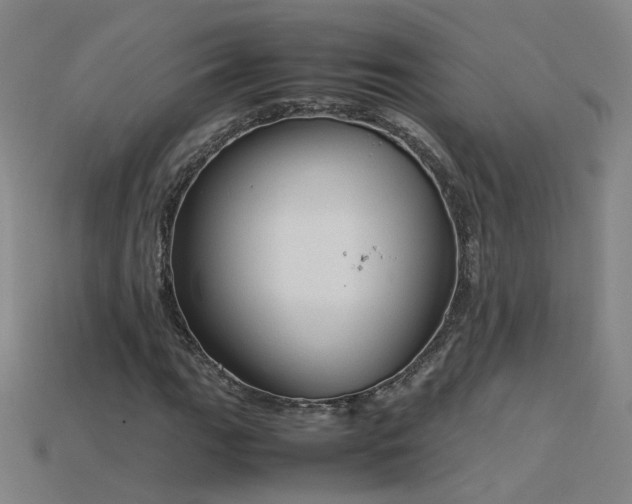 X0000115801111200911131353
