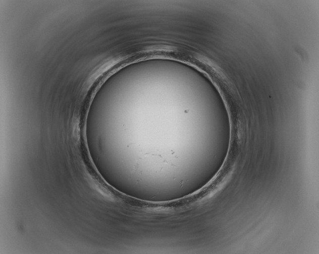 X0000115801113200911131353