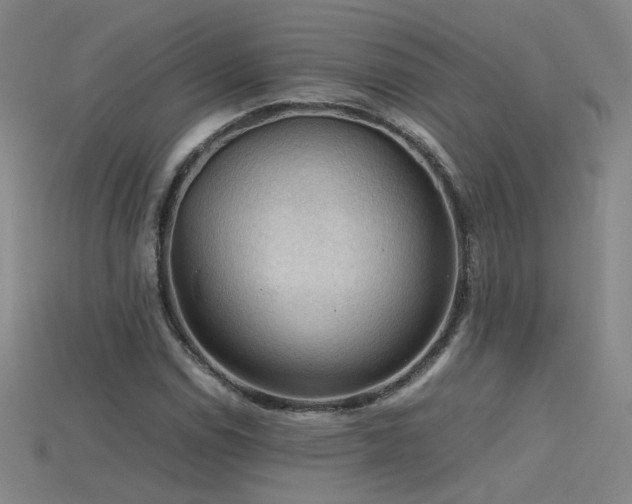 X0000115801114200911131353