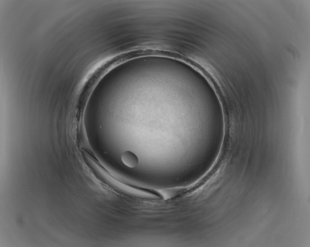 X0000115801115200911131353