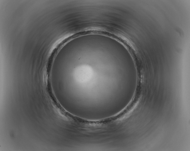 X0000115801117200911131353