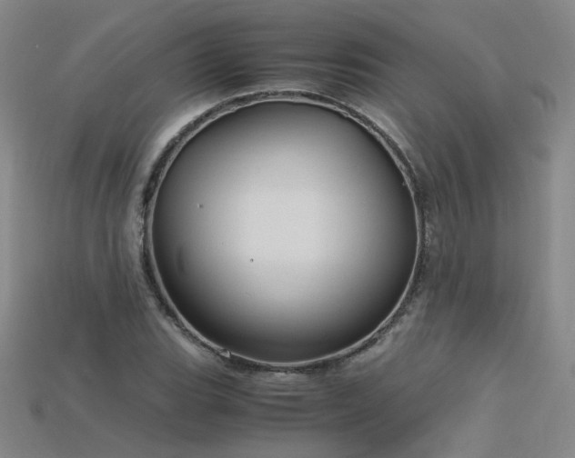 X0000115801119200911131353