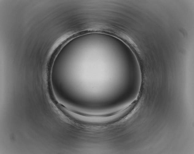 X0000115801122200911131353