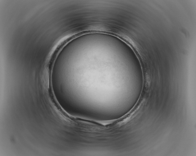X0000115801123200911131353