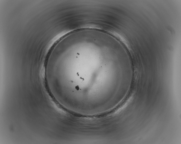 X0000115801125200911131353