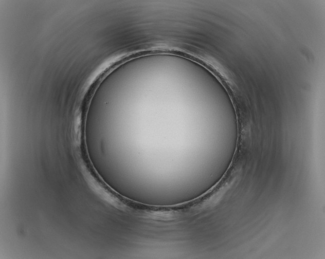 X0000115801126200911131353
