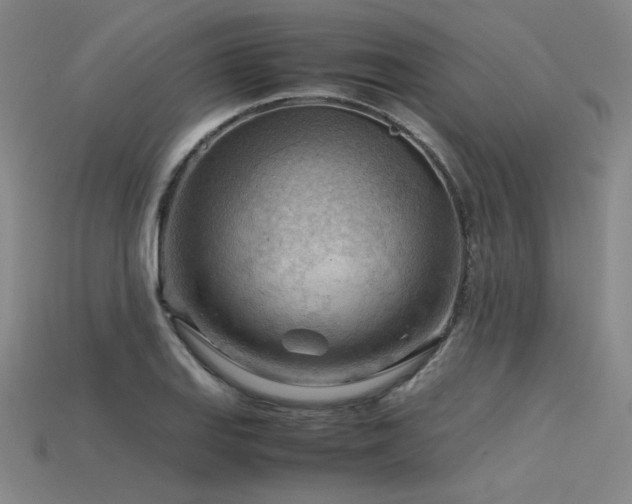 X0000115801127200911131353