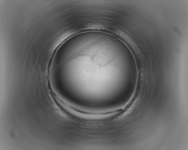 X0000115801129200911131353