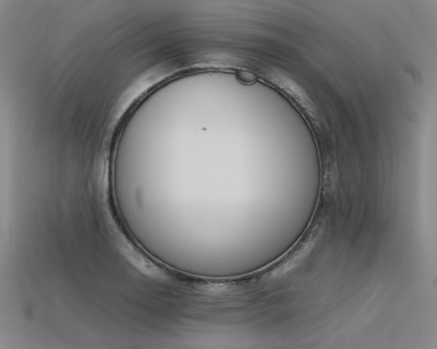X0000115801130200911131353