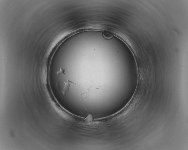 X0000115801131200911131353
