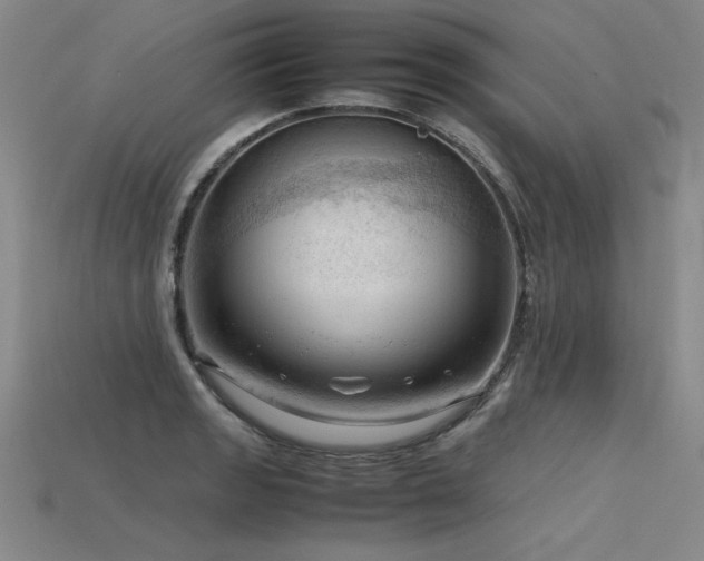 X0000115801133200911131353