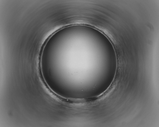 X0000115801134200911131353