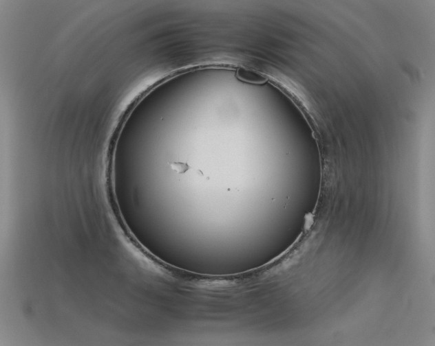 X0000115801135200911131353