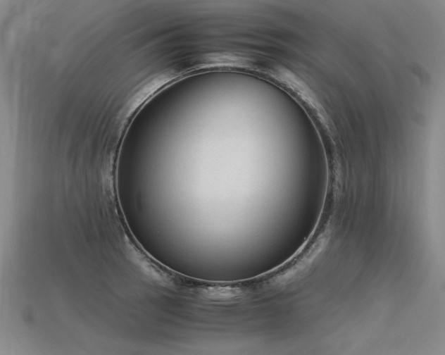X0000115801137200911131353