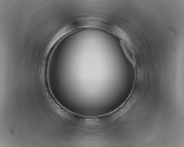 X0000115801138200911131353