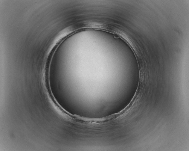X0000115801139200911131353