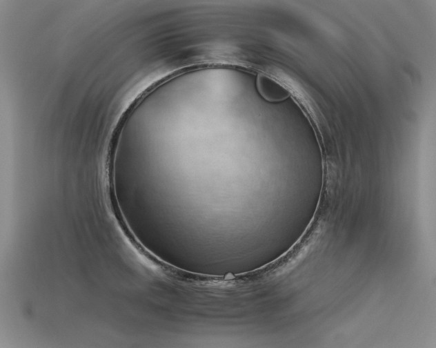 X0000115801141200911131354
