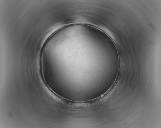 X0000115801142200911131354
