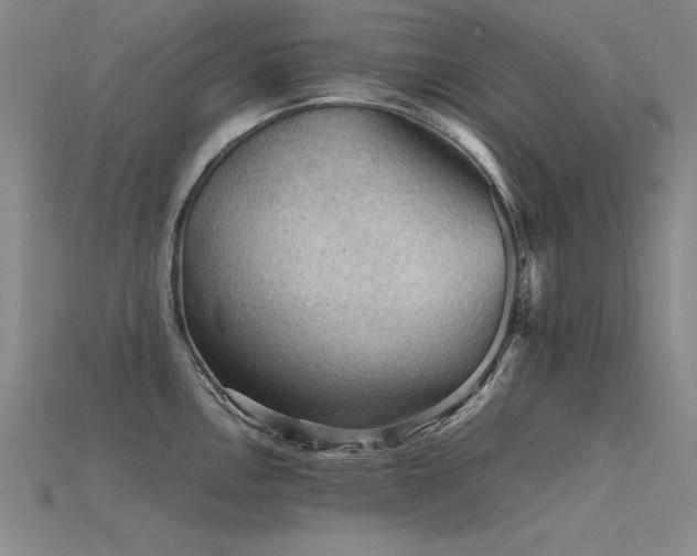 X0000115801146200911131354