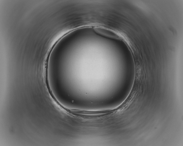 X0000115801151200911131354