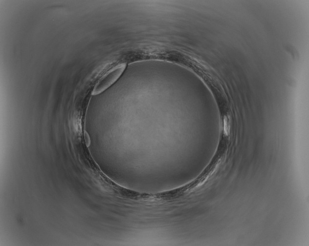 X0000115801155200911131353