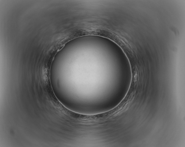 X0000115801156200911131353